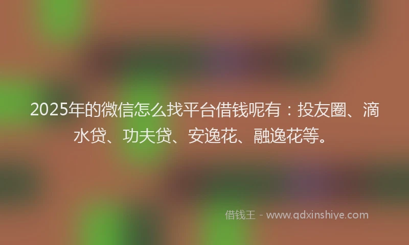 2025年的微信怎么找平台借钱呢有：投友圈、滴水贷、功夫贷、安逸花、融逸花等。