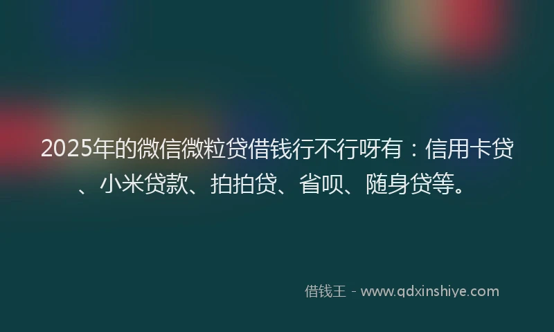 2025年的微信微粒贷借钱行不行呀有：信用卡贷、小米贷款、拍拍贷、省呗、随身贷等。