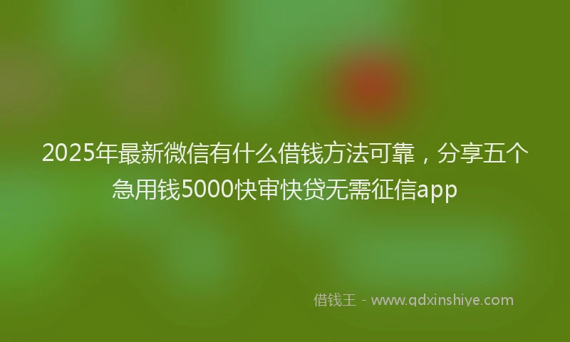 2025年最新微信有什么借钱方法可靠，分享五个急用钱5000快审快贷无需征信app