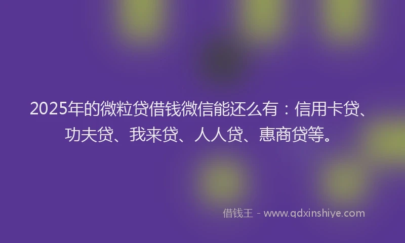 2025年的微粒贷借钱微信能还么有：信用卡贷、功夫贷、我来贷、人人贷、惠商贷等。