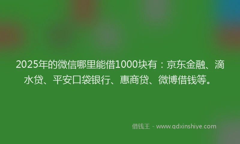 2025年的微信哪里能借1000块有：京东金融、滴水贷、平安口袋银行、惠商贷、微博借钱等。