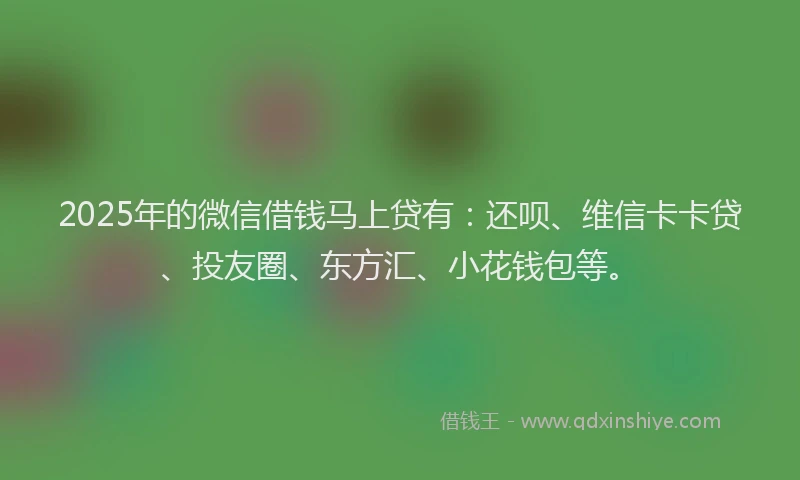 2025年的微信借钱马上贷有：还呗、维信卡卡贷、投友圈、东方汇、小花钱包等。