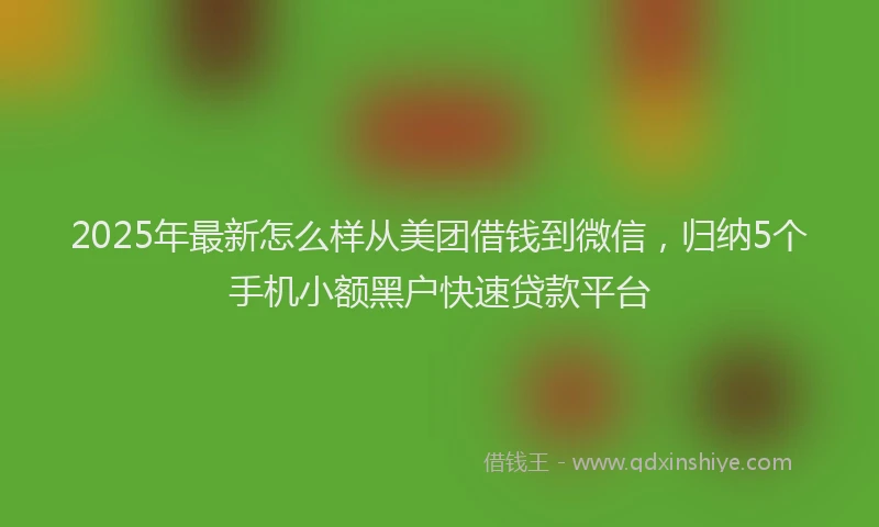 2025年最新怎么样从美团借钱到微信，归纳5个手机小额黑户快速贷款平台