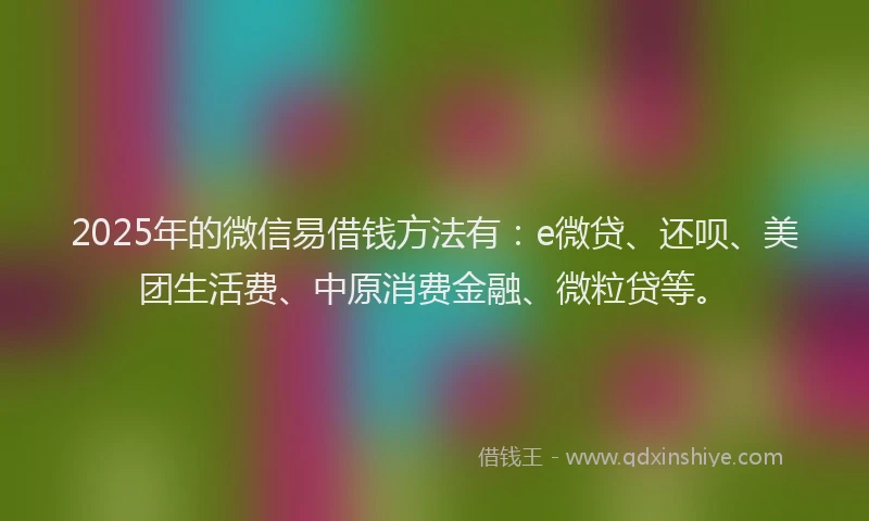 2025年的微信易借钱方法有：e微贷、还呗、美团生活费、中原消费金融、微粒贷等。