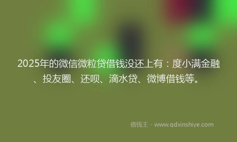 2025年的微信微粒贷借钱没还上有：度小满金融、投友圈、还呗、滴水贷、微博借钱等。