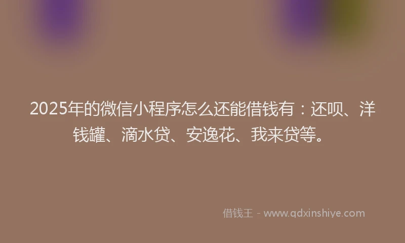 2025年的微信小程序怎么还能借钱有：还呗、洋钱罐、滴水贷、安逸花、我来贷等。