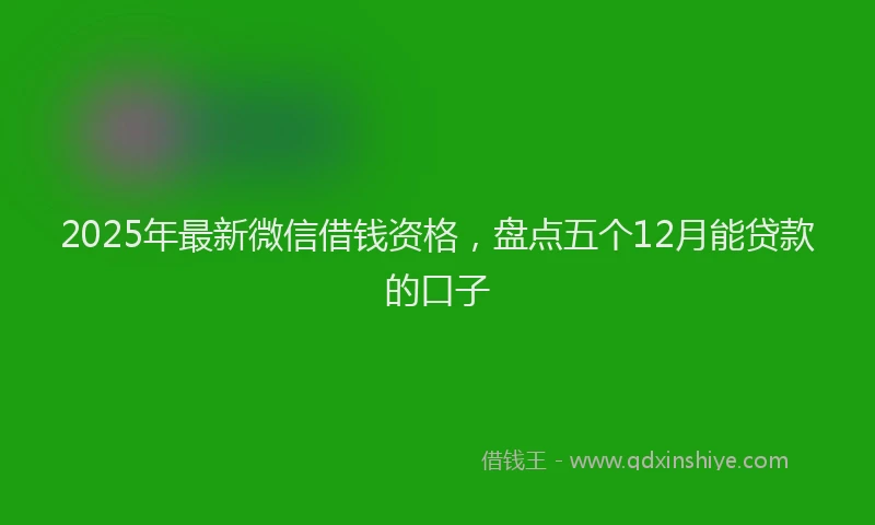 2025年最新微信借钱资格，盘点五个12月能贷款的口子