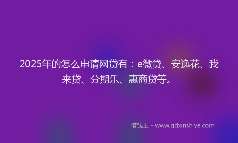 2025年的怎么申请网贷有：e微贷、安逸花、我来贷、分期乐、惠商贷等。