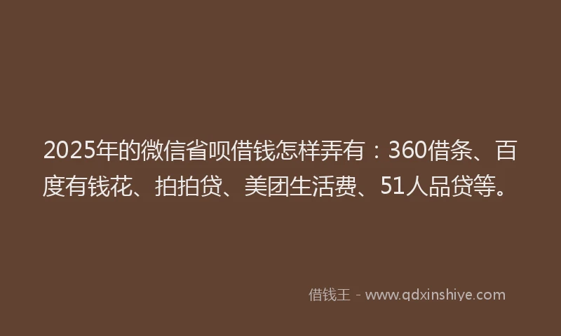 2025年的微信省呗借钱怎样弄有：360借条、百度有钱花、拍拍贷、美团生活费、51人品贷等。