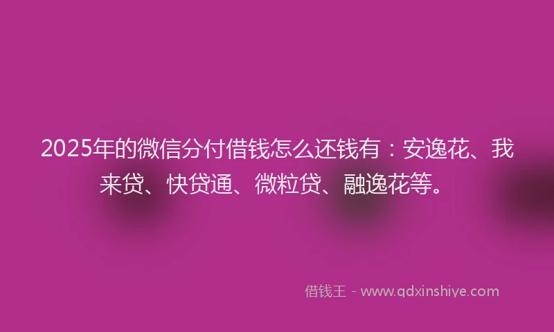 2025年的微信分付借钱怎么还钱有：安逸花、我来贷、快贷通、微粒贷、融逸花等。