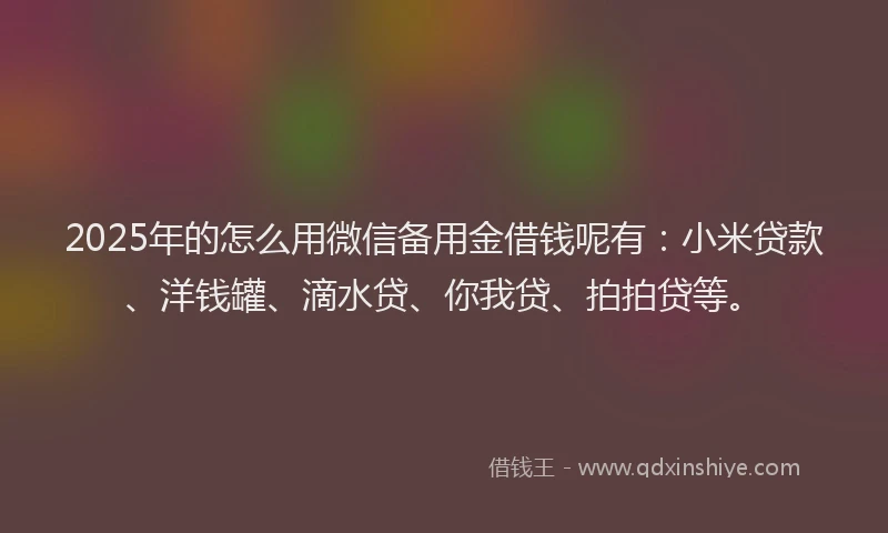 2025年的怎么用微信备用金借钱呢有:小米贷款、洋钱罐、滴水贷、你我贷、拍拍贷等。