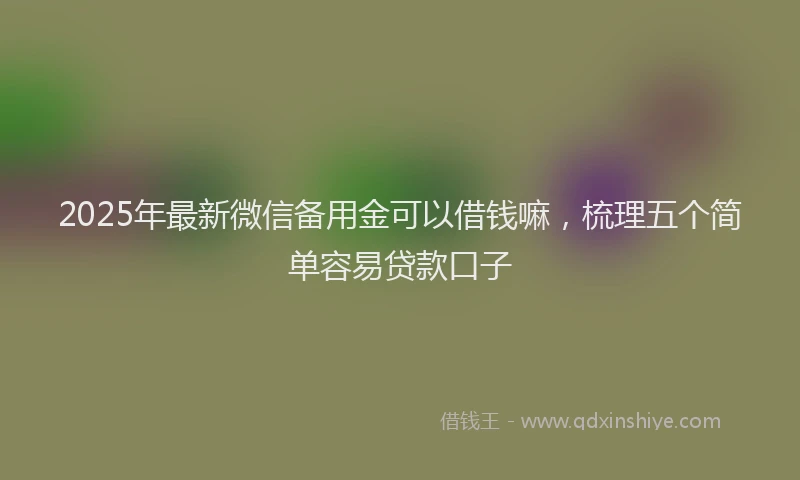 2025年最新微信备用金可以借钱嘛，梳理五个简单容易贷款口子
