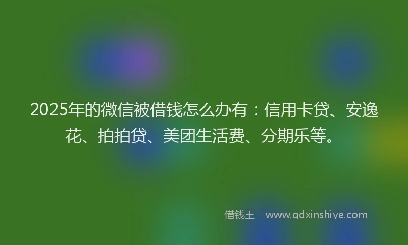 2025年的微信被借钱怎么办有：信用卡贷、安逸花、拍拍贷、美团生活费、分期乐等。