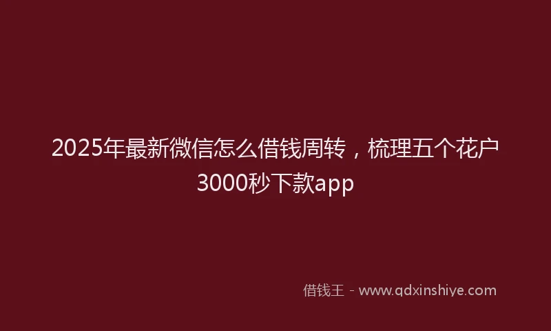 2025年最新微信怎么借钱周转，梳理五个花户3000秒下款app