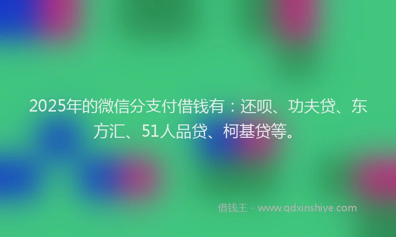 2025年的微信分支付借钱有：还呗、功夫贷、东方汇、51人品贷、柯基贷等。