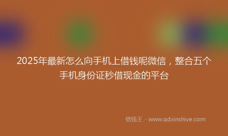 2025年最新怎么向手机上借钱呢微信，整合五个手机身份证秒借现金的平台