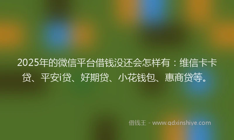 2025年的微信平台借钱没还会怎样有：维信卡卡贷、平安i贷、好期贷、小花钱包、惠商贷等。