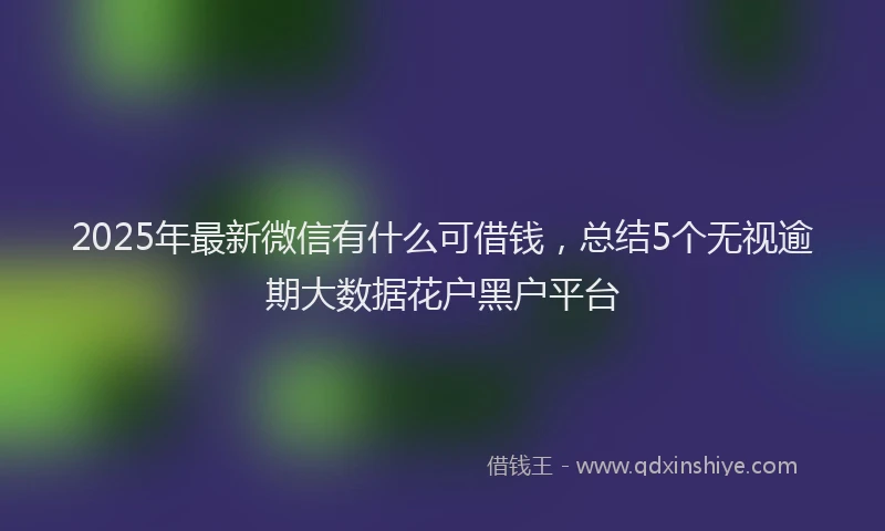 2025年最新微信有什么可借钱，总结5个无视逾期大数据花户黑户平台