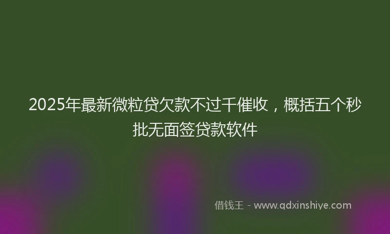 2025年最新微粒贷欠款不过千催收，概括五个秒批无面签贷款软件