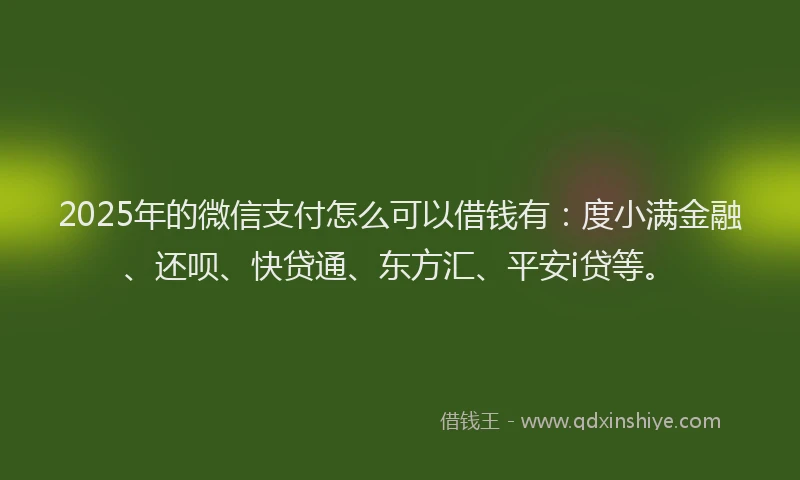 2025年的微信支付怎么可以借钱有：度小满金融、还呗、快贷通、东方汇、平安i贷等。