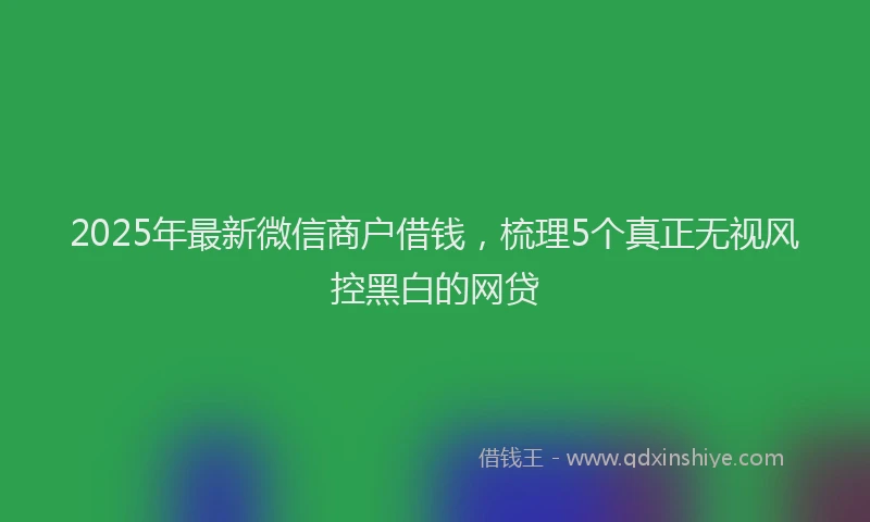 2025年最新微信商户借钱，梳理5个真正无视风控黑白的网贷