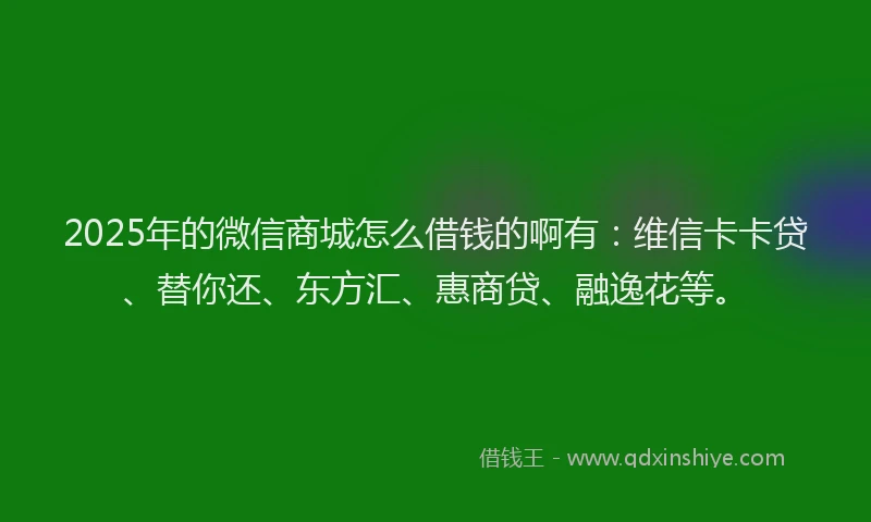 2025年的微信商城怎么借钱的啊有：维信卡卡贷、替你还、东方汇、惠商贷、融逸花等。