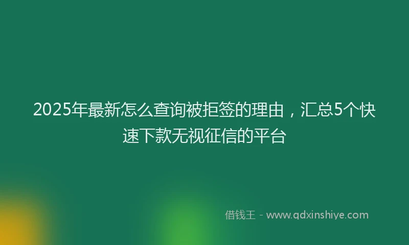 2025年最新怎么查询被拒签的理由，汇总5个快速下款无视征信的平台