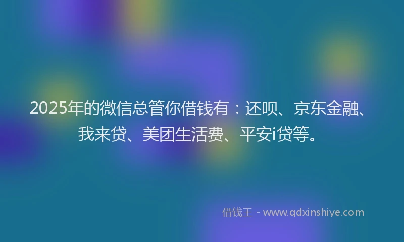 2025年的微信总管你借钱有：还呗、京东金融、我来贷、美团生活费、平安i贷等。