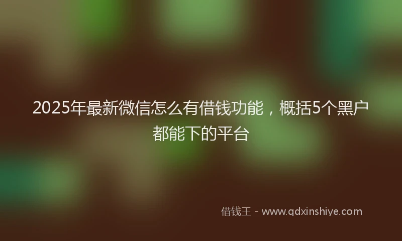 2025年最新微信怎么有借钱功能，概括5个黑户都能下的平台