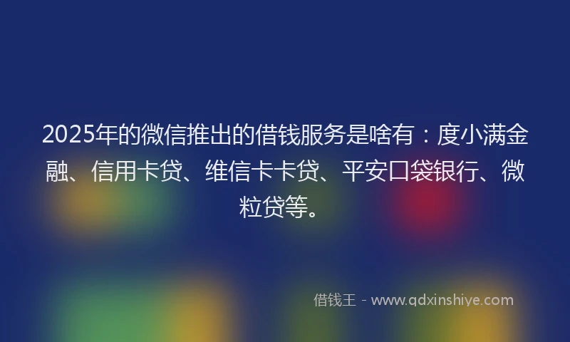 2025年的微信推出的借钱服务是啥有：度小满金融、信用卡贷、维信卡卡贷、平安口袋银行、微粒贷等。