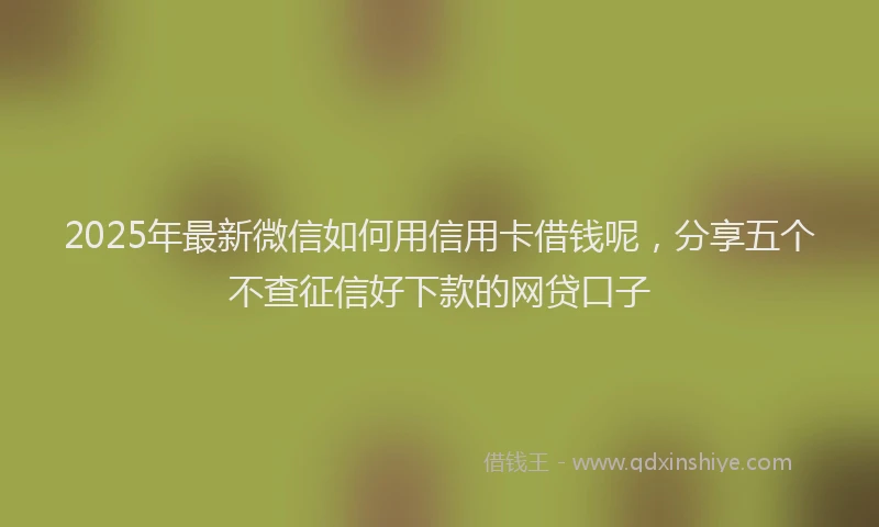 2025年最新微信如何用信用卡借钱呢，分享五个不查征信好下款的网贷口子