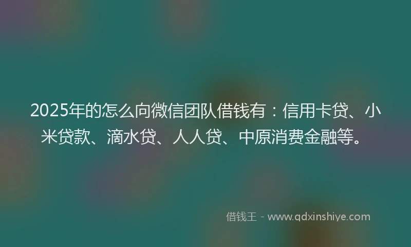 2025年的怎么向微信团队借钱有：信用卡贷、小米贷款、滴水贷、人人贷、中原消费金融等。
