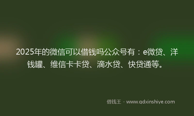 2025年的微信可以借钱吗公众号有：e微贷、洋钱罐、维信卡卡贷、滴水贷、快贷通等。