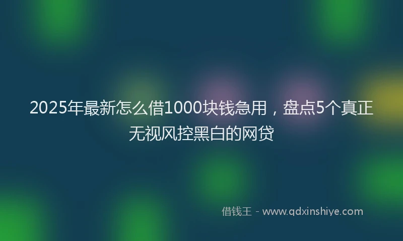 2025年最新怎么借1000块钱急用，盘点5个真正无视风控黑白的网贷