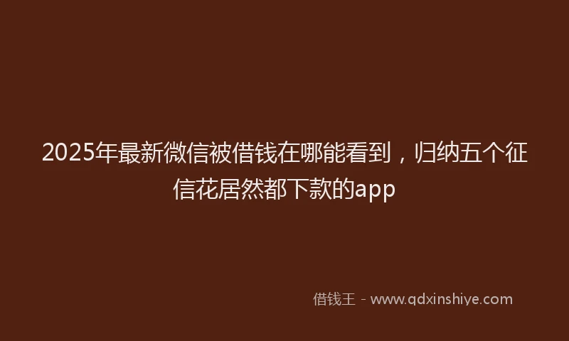 2025年最新微信被借钱在哪能看到，归纳五个征信花居然都下款的app