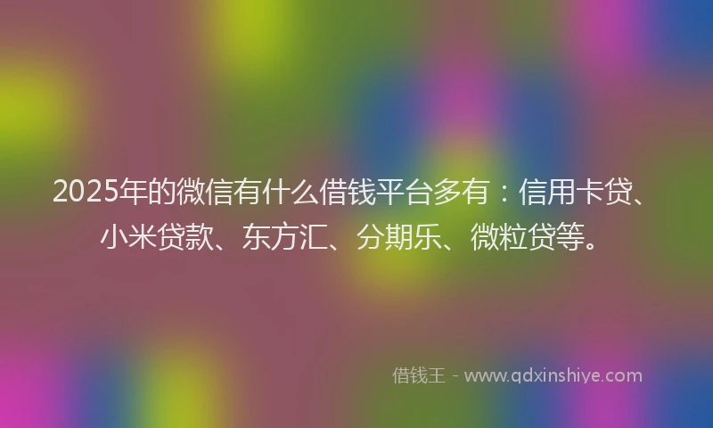 2025年的微信有什么借钱平台多有：信用卡贷、小米贷款、东方汇、分期乐、微粒贷等。
