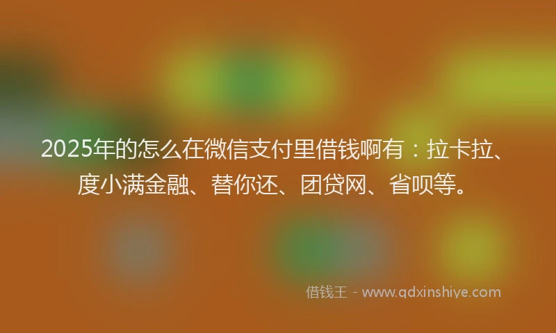 2025年的怎么在微信支付里借钱啊有：拉卡拉、度小满金融、替你还、团贷网、省呗等。