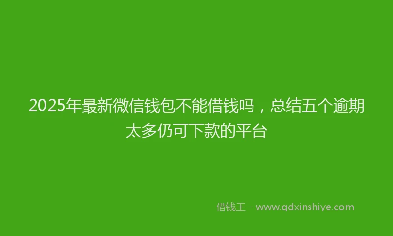 2025年最新微信钱包不能借钱吗，总结五个逾期太多仍可下款的平台
