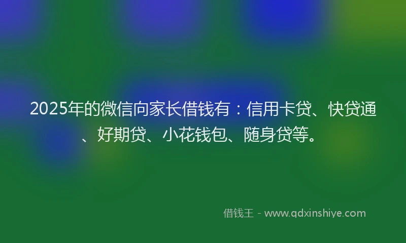 2025年的微信向家长借钱有：信用卡贷、快贷通、好期贷、小花钱包、随身贷等。