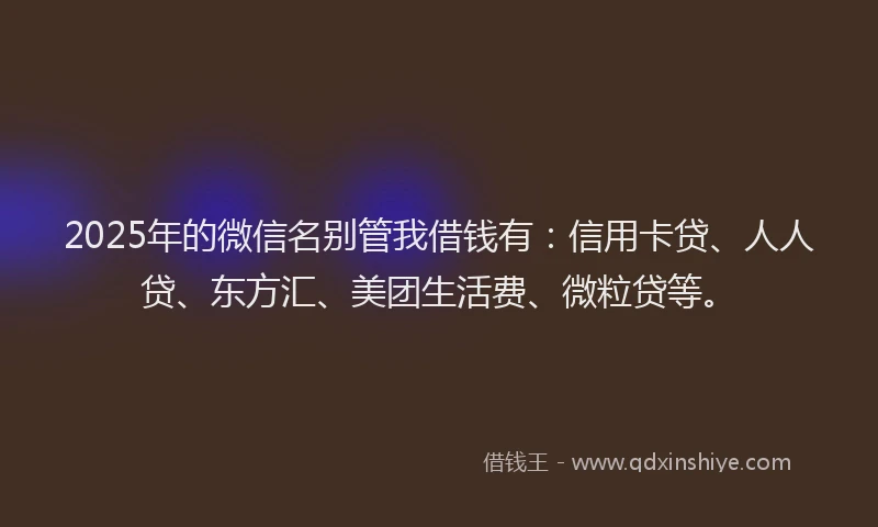 2025年的微信名别管我借钱有：信用卡贷、人人贷、东方汇、美团生活费、微粒贷等。