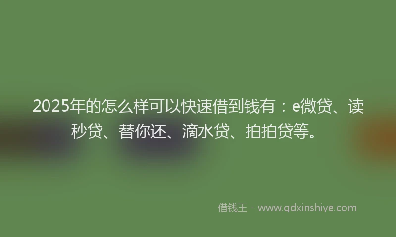 2025年的怎么样可以快速借到钱有：e微贷、读秒贷、替你还、滴水贷、拍拍贷等。