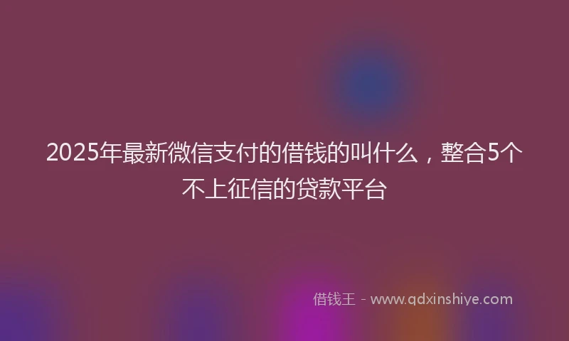 2025年最新微信支付的借钱的叫什么，整合5个不上征信的贷款平台