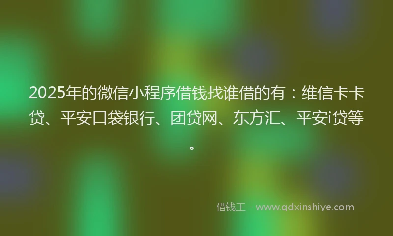 2025年的微信小程序借钱找谁借的有：维信卡卡贷、平安口袋银行、团贷网、东方汇、平安i贷等。