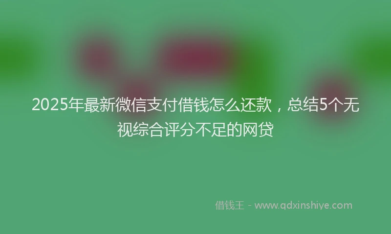 2025年最新微信支付借钱怎么还款，总结5个无视综合评分不足的网贷