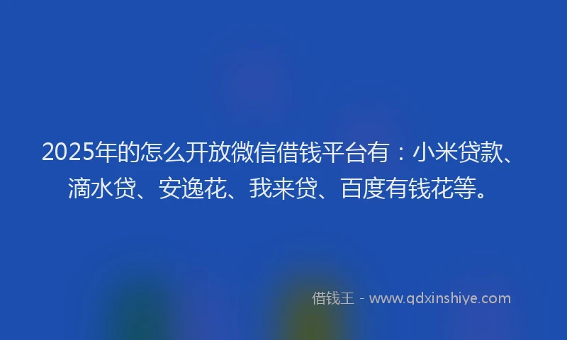 2025年的怎么开放微信借钱平台有：小米贷款、滴水贷、安逸花、我来贷、百度有钱花等。