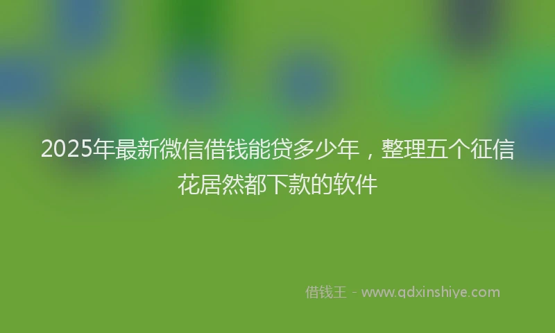 2025年最新微信借钱能贷多少年，整理五个征信花居然都下款的软件