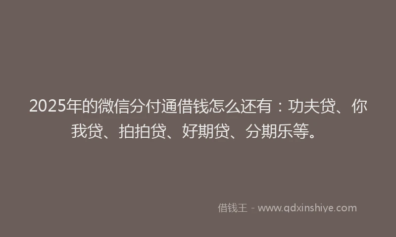 2025年的微信分付通借钱怎么还有：功夫贷、你我贷、拍拍贷、好期贷、分期乐等。