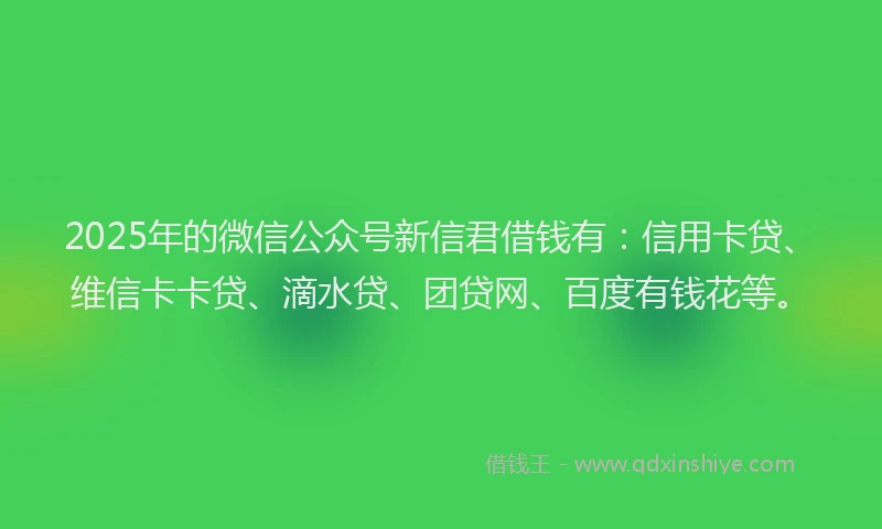 2025年的微信公众号新信君借钱有：信用卡贷、维信卡卡贷、滴水贷、团贷网、百度有钱花等。