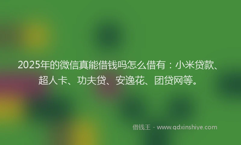 2025年的微信真能借钱吗怎么借有：小米贷款、超人卡、功夫贷、安逸花、团贷网等。