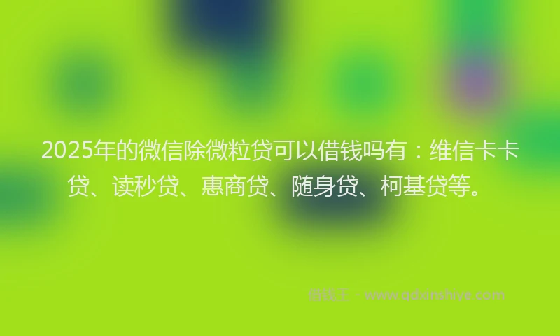 2025年的微信除微粒贷可以借钱吗有：维信卡卡贷、读秒贷、惠商贷、随身贷、柯基贷等。